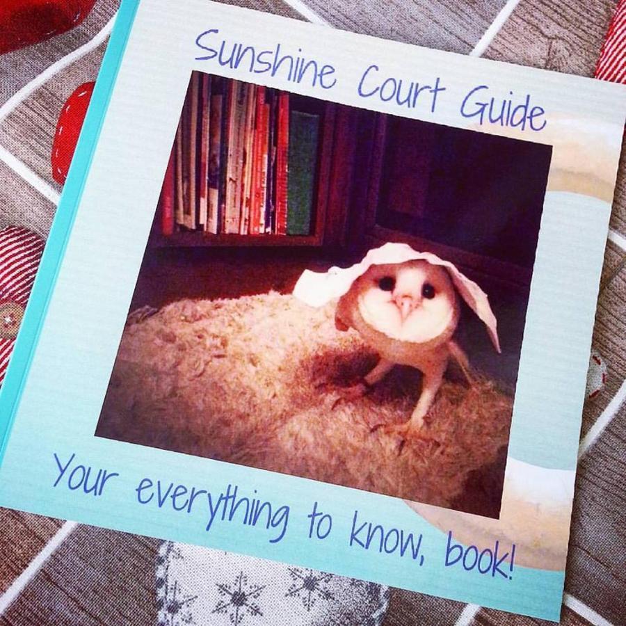 Bed & Breakfast Sunshine Court